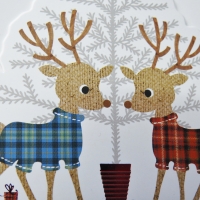 Two Cute Deer On A Card