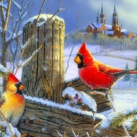 Holy Hillside Cardinal Birds