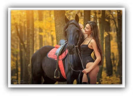 sexy girl and beauty horse - girls, women, horse, sexy