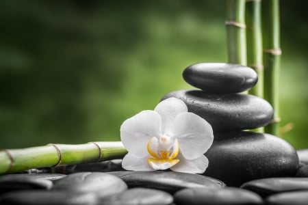 Relaxing Spa - massage, orchid, water, stones, bamboo