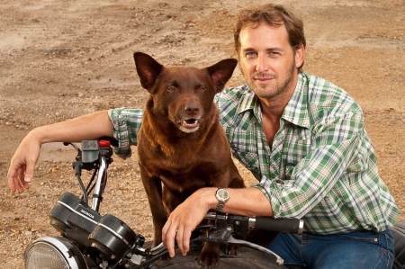 red dog - motorcycle, dog, man, red