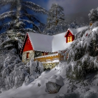 Winter house