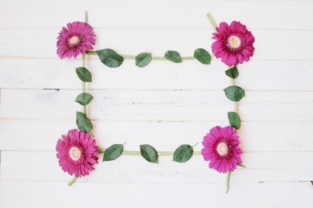 Happy Day! - card, flower, pink, leaf, spring, wood, green