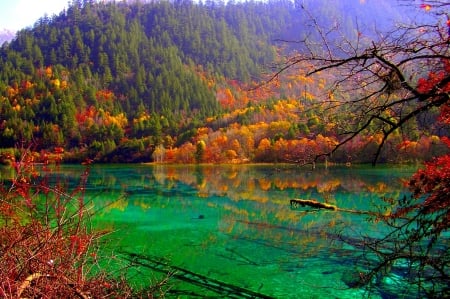 Fall Colors - river, trees, autumn, forest, mountains