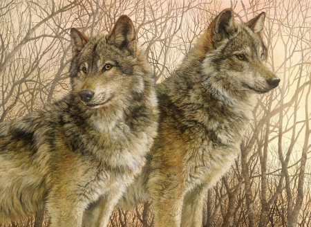 Wolves - lup, pictura, bonnie marris, animal, wolf, painting, art, luminos