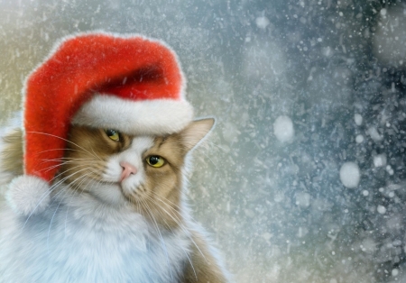 Christmas cat by Elena Roslyakova - craciun, hat, cat, pisici, winter, frumusete, elena roslyakova, pisica, fantasy, christmas, santa, luminos, red, snow, alenaekaterinburg