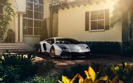 matte lamborghini aventador - lamborghini, house, matte, aventador