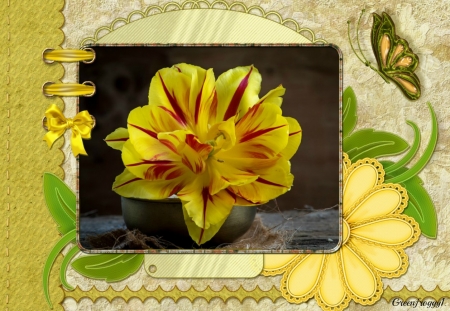 PRETTY FLOWER - IMAGE, FLOWER, FRAMED, PRETTY