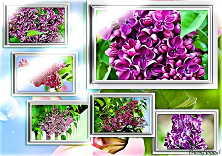 LOVELY FRAMED LILACS - LILAC, LOVELY, FRAMED, FLOWERS