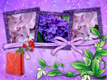 THREE FRAMES - flowers, frames, three, lilac