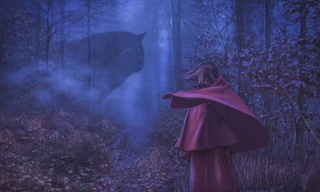 Little red in the fog - annewipf, fog, blue, wolf, girl, night, forest, pink, tree, lup, fantasy, little red riding hood, mist