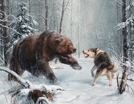 Attack - bear, winter, wolf, painting, art, forest, luminos, animal, pictura