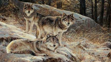 Wolves - lup, pictura, animal, wolf, painting, art