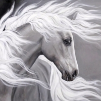 Ghost Horse