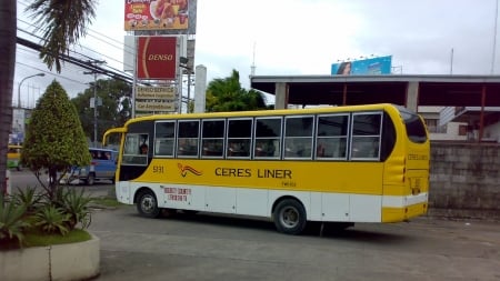 ceres bus - ceres, bus, street, philippines