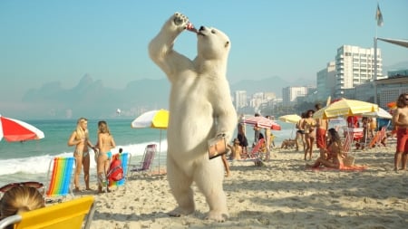 :D - beach, people, polar bear, summer, funny, creative, fantasy, coca cola, commercial, bottle, add