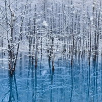 Hokkaido Japan