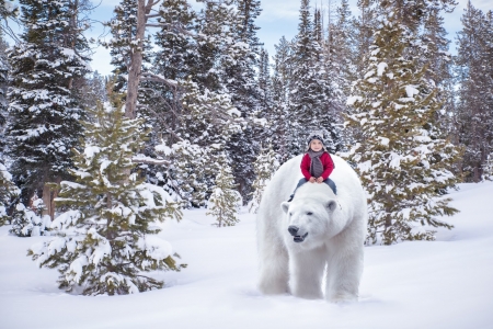 Little girl riding a polar bear - craciun, polar bear, winter, child, copil, amy jensen, creative, fantasy, christmas, white, forest, red, snow, tree