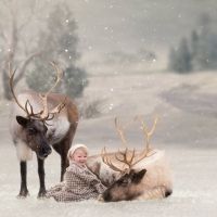 Santa's reindeers and a baby boy