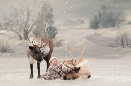 Santa's reindeers and a baby boy - craciun, kimberly scott, winter, child, copil, horns, white, reindeer, snow, boy, animal