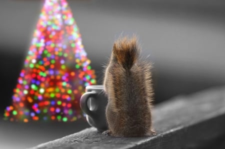 Merry Christmas! - pink, tree, veverita, christmas, animal, craciun, cute, squirrel, cup