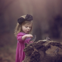 Little bird