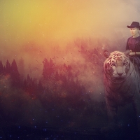 Tiger rider