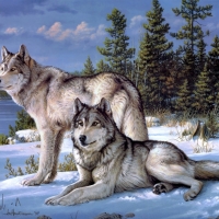 Wolves