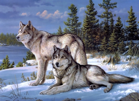 Wolves - winter, blue, wolf, joseph hautman, lup, pictura, animal, painting, couple, art