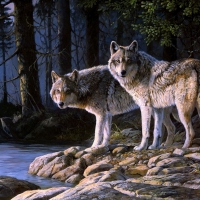 Wolves