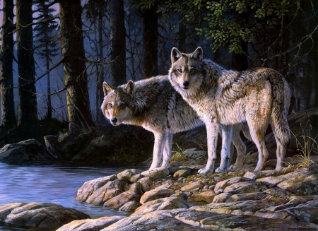 Wolves - couple, lup, persis clayton weir, wolf, painting, art, forest, luminos, pictura, animal