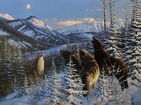 Howling - wolf, painting, art, luminos, winter, pictura, persis clayton weir, howling