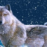 Wolf Winter