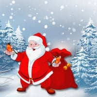 Santa & Bull Finches