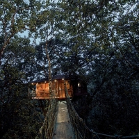 House In The Rain Forest