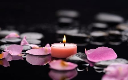 Candle and petals - candle, stones, petals, pink