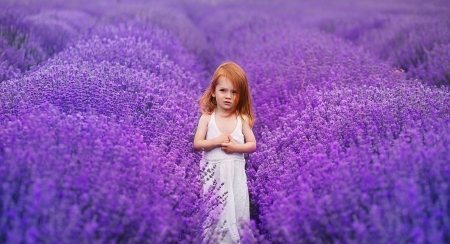 Little girl - redhead, girl, summer, child, field, copil, purple, pink, lavender, flower