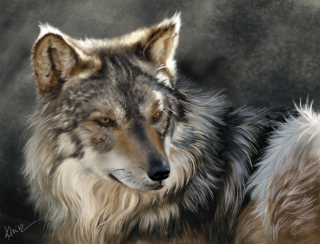 Wolf - lup, pictura, animal, wolf, painting, art