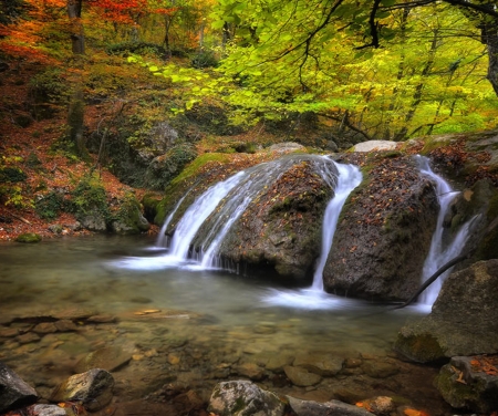 Forest Waterfall - forest, water, nature, waterfall