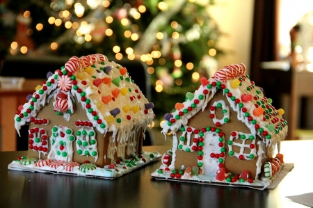 Two gingerbread houses - Sweets, Houses, Lovely, Gingerbread, Christmas