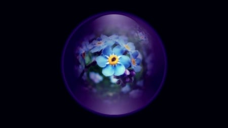 Forget Me Not - flowers, bubble, nature, forget me not