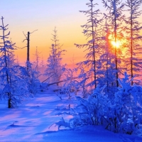 Frosty Sunset