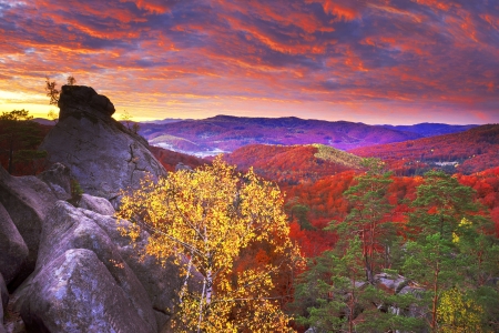 Carpathians Rocks,Ukraine - dawn, trees, nature, forest, mountains, rocks, sky