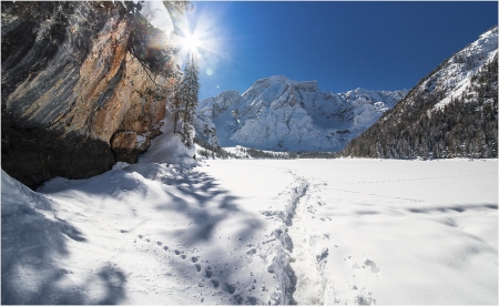 Winter  Landscape - trees, winter, nature, landscape, snow, sun