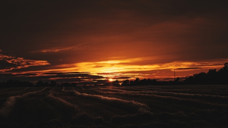 Sunset Field - nature, fields, landscape, sunsets, sunset