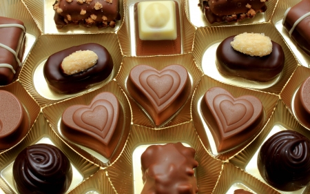 Assorted Chocolates - fun, Chocolates, food, yummy, entertainment, cool