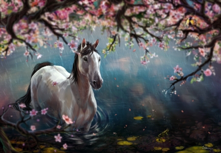 Rainy day - water, sakura, blue, blossom, spring, flower, petals, pink, horse, fantasy, rain, luminos