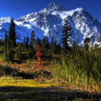 Green Nature by the Snowy Peak