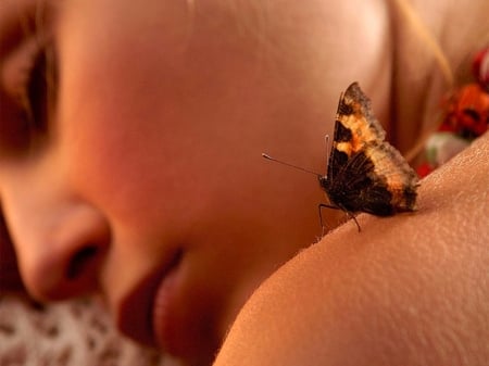 butterfly love - girls, love, butterfly, schmetterlinge