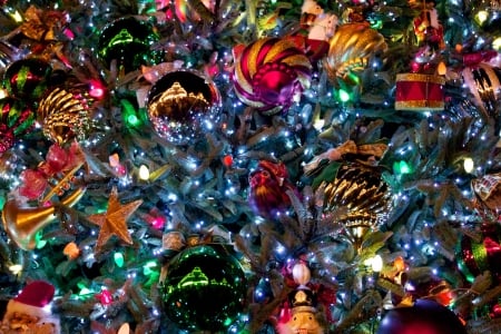 oh christmas tree - christmas, tree, lights, beautiful